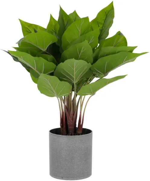 Anthurium, Kunstig plante, grønn/grå, H50x40x40 cm