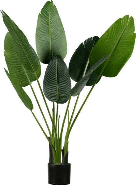 Strelitzia, Kunstig plante, grønn, H108x61x50 cm