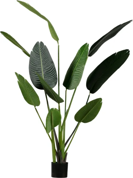 Strelitzia, Kunstig plante, grønn, H164x96x63 cm