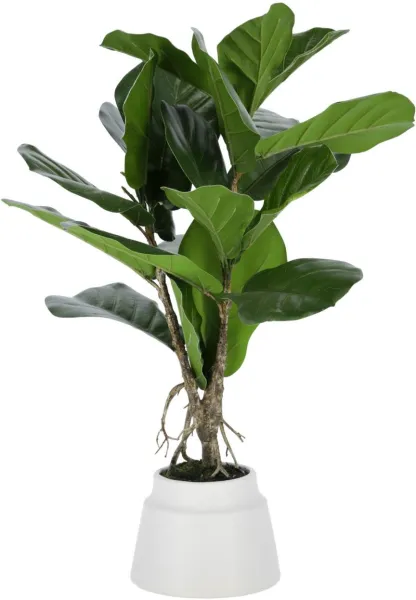 Lyrata, Kunstig plante, grønn/hvit, H60x30x30 cm
